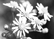 ddos压力测试平台